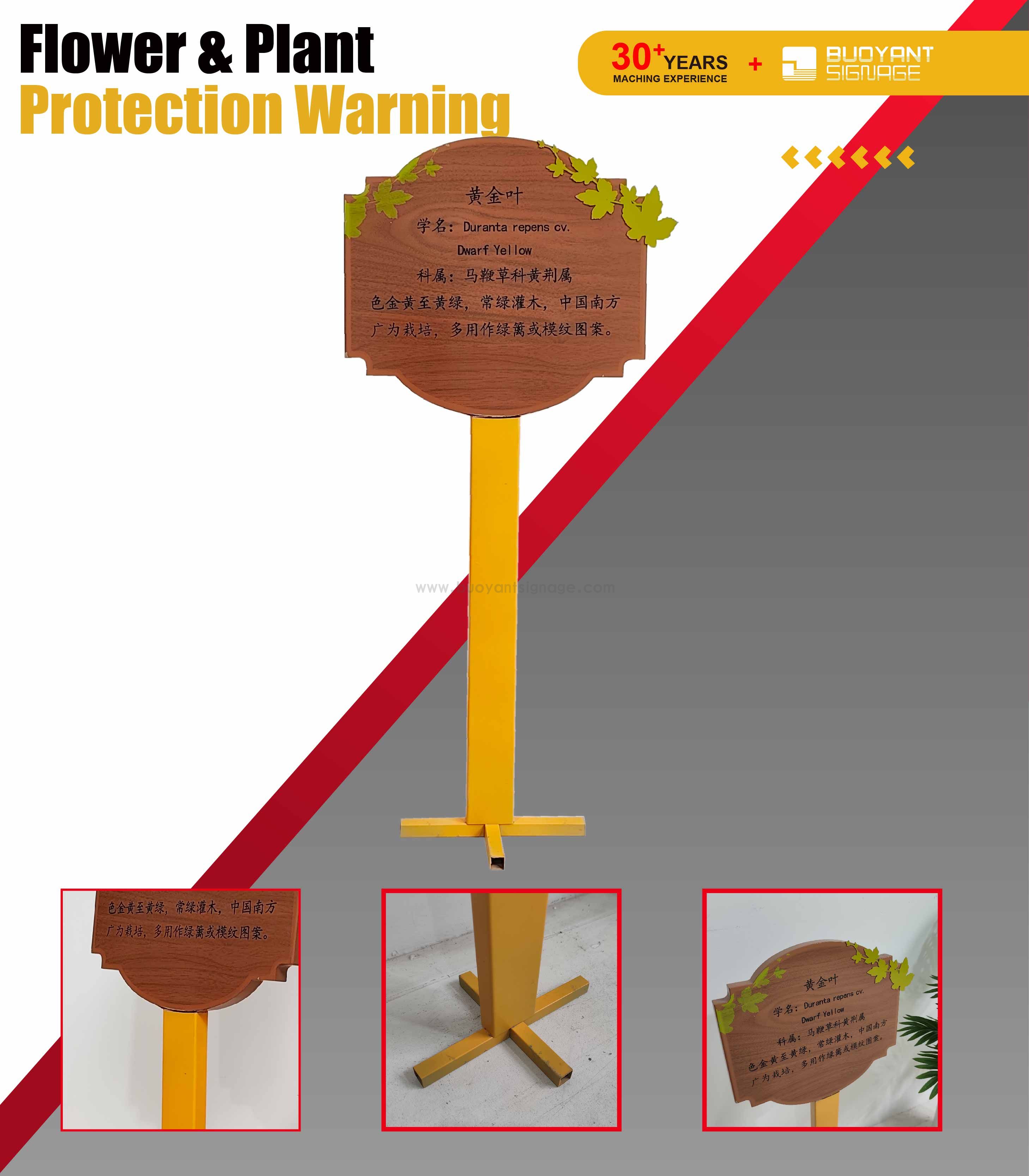 主图+详情页首图(2)_画板6 副本 120.jpg