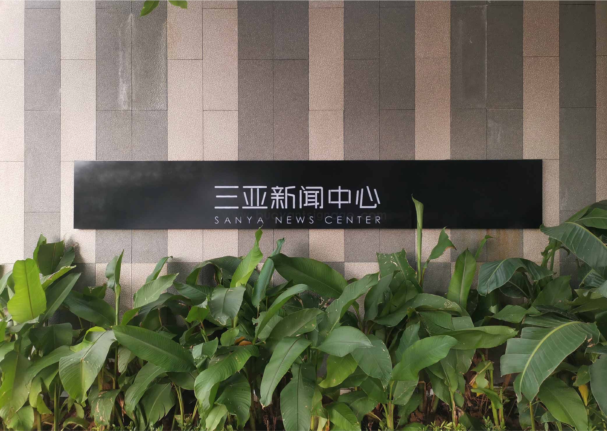 三亚新闻中心 案例_画板 1 副本 3.jpg