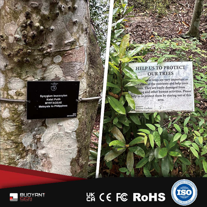 Outdoor Park Tree Plates | Direct from S