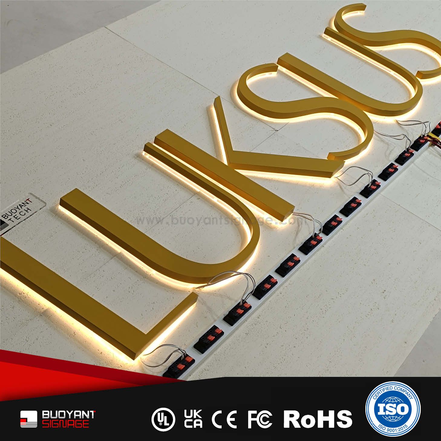 Professional Custom Minimalist Letter LE