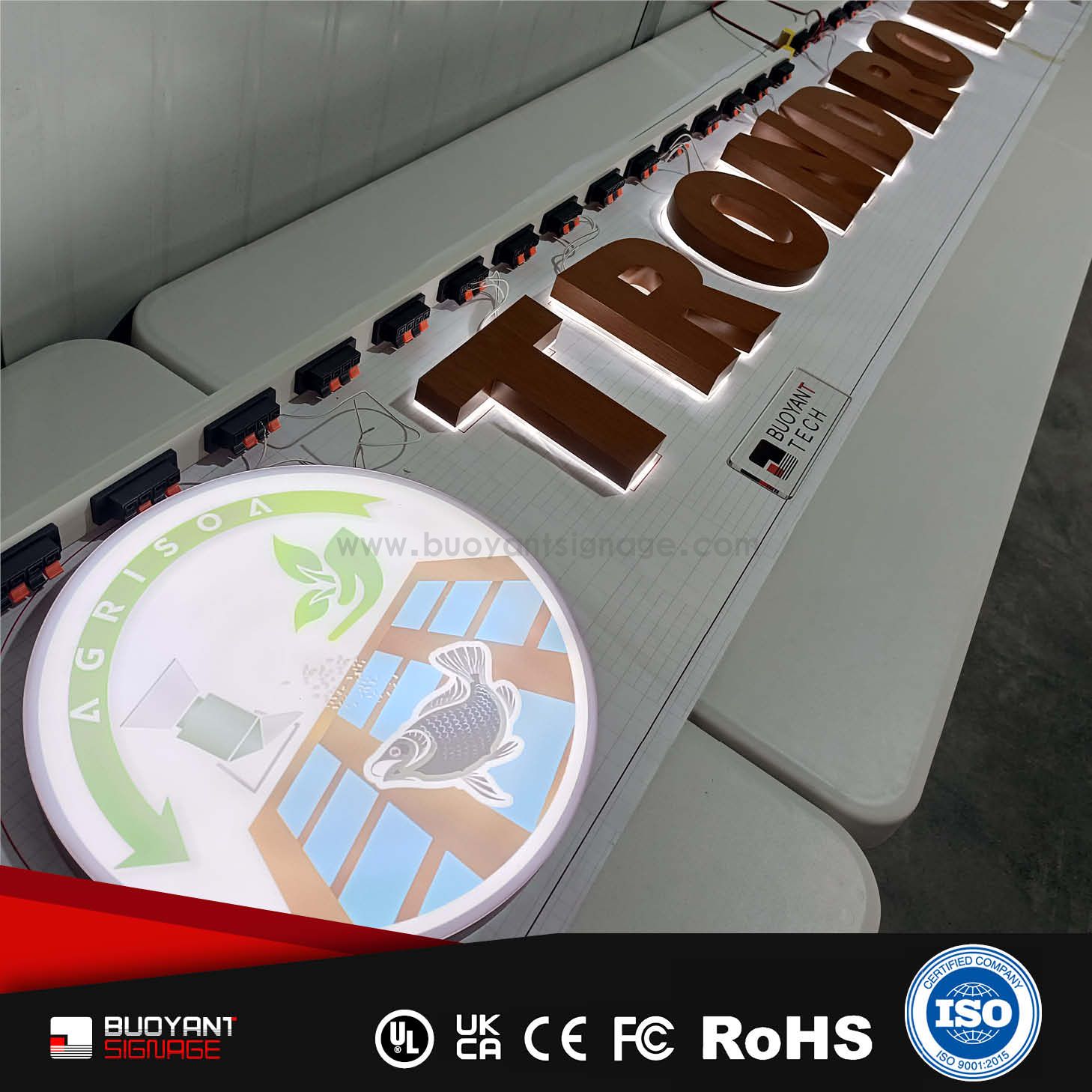 Professional Custom Minimalist Shape LED