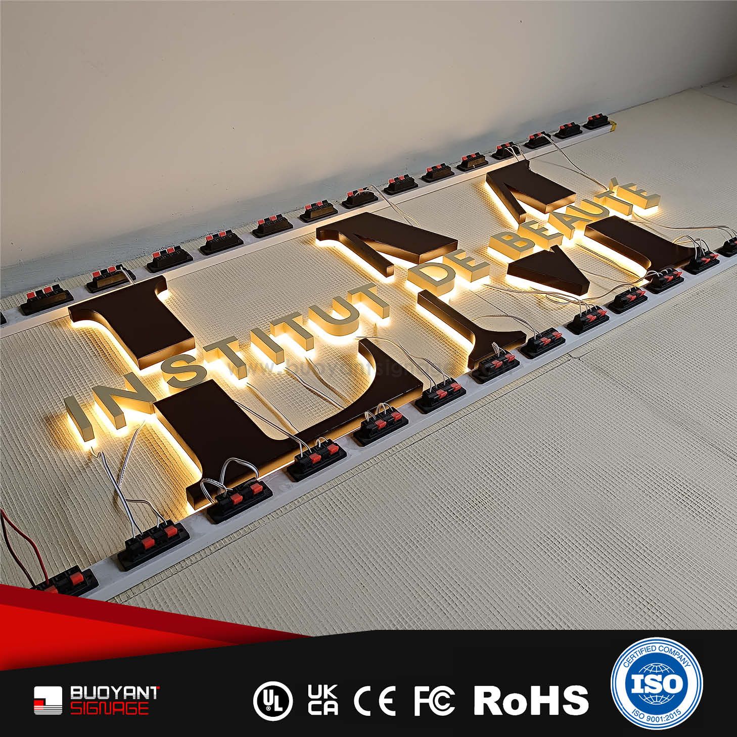 Professional Custom Artistic Shape LED B