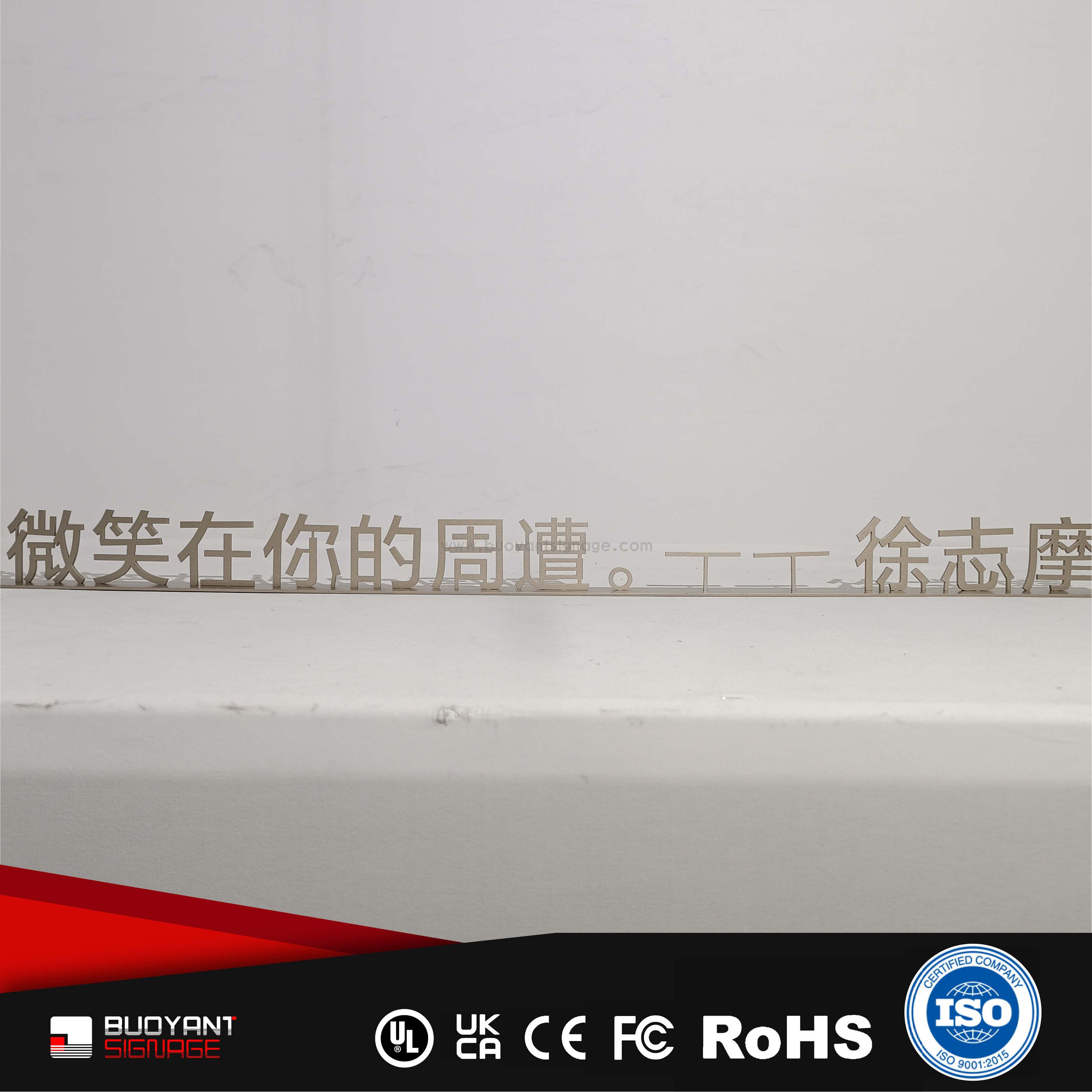 Professional Custom 3D Logo Non-Illuminated Signs for Enterprise Brand Upgrade（(A3DNIS-S60gss)）