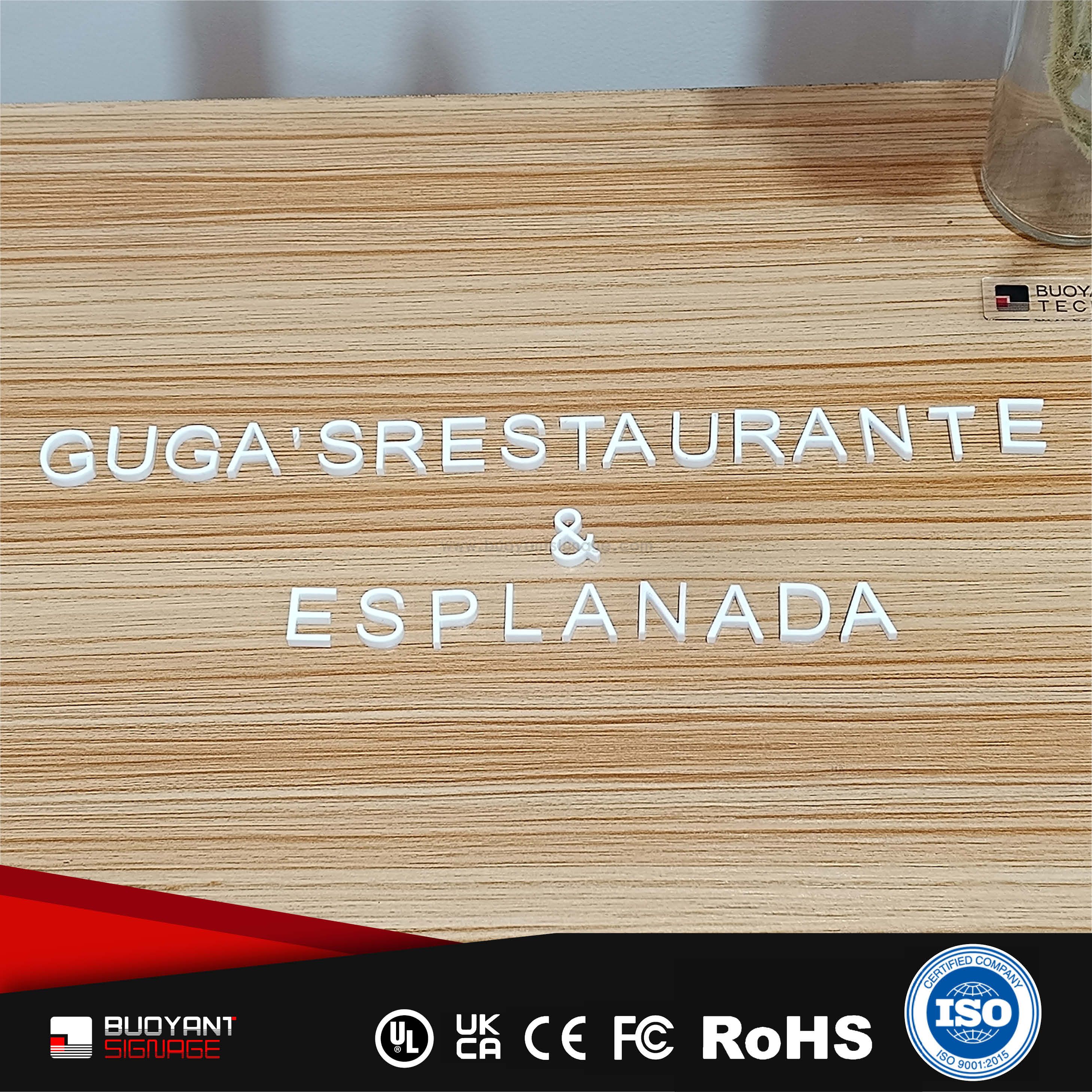 Professional Custom Minimalist Logo Non-Illuminated Signs for Commercial Brand Upgrade（(A3DNIS-S51yn