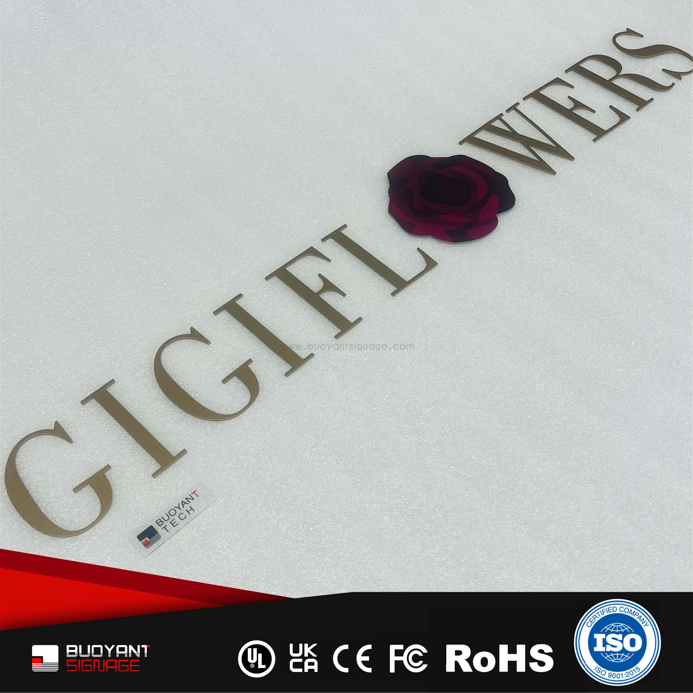 Professional Custom Decorative Logo Non-Illuminated Solid Signs for Enterprise Image Upgrade（(A3DNIS